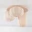 Japandi Ceiling lights Velin