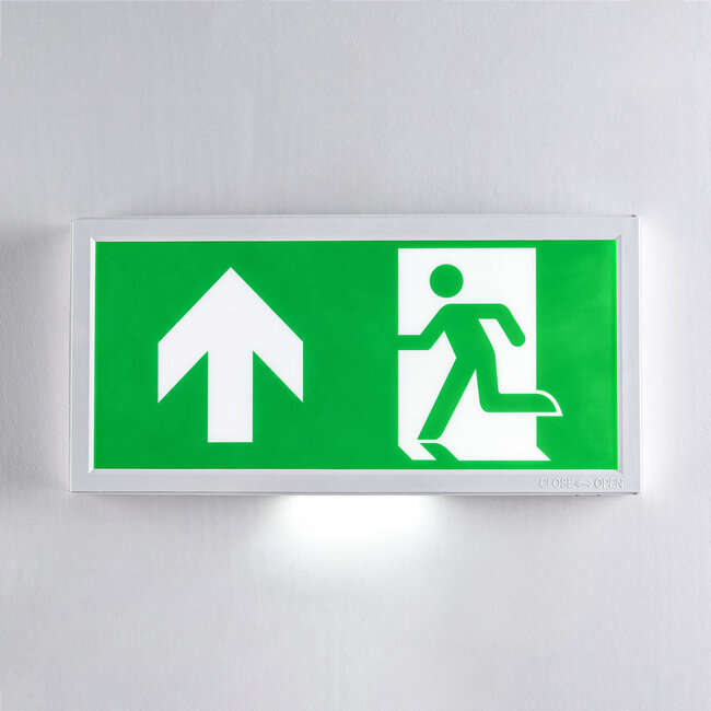Surface-mounted emergency lighting - LX006