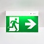 Surface mounted emergency light LXL-MF-3
