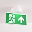 Flush mounted and surface mounted emergency lighting LXL-MM