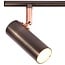 Modern 2-light ceiling lamp Auburn - antique silver