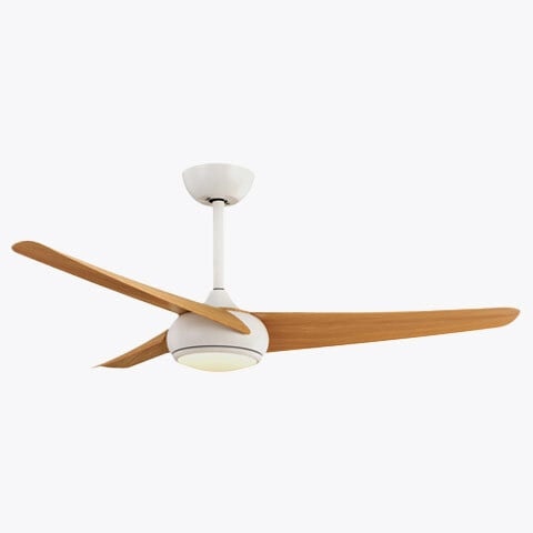 Ceiling fans