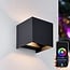 Smart outdoor wall lamp Daniel with RGB in black