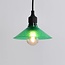 Shade for festoon bulbs in green