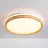 LED ceiling lights