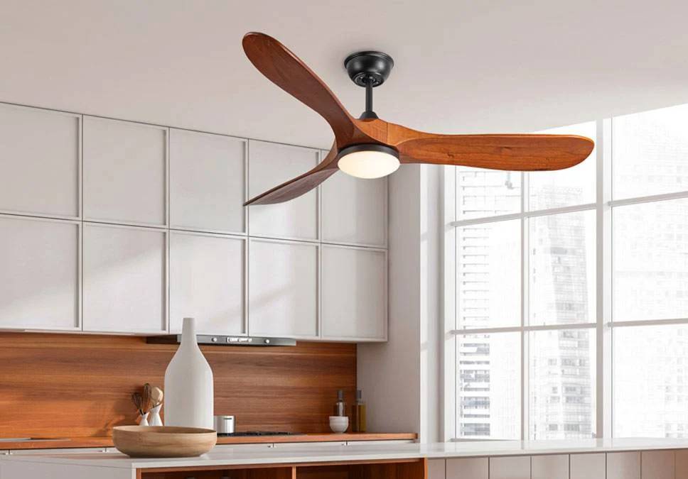 Trendy ceiling fans