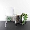 Blatt Atrani Wit| Witte Poten Blatt Atrani Wit| Witte Poten