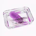 Mini egg vibrator With remote control Purple