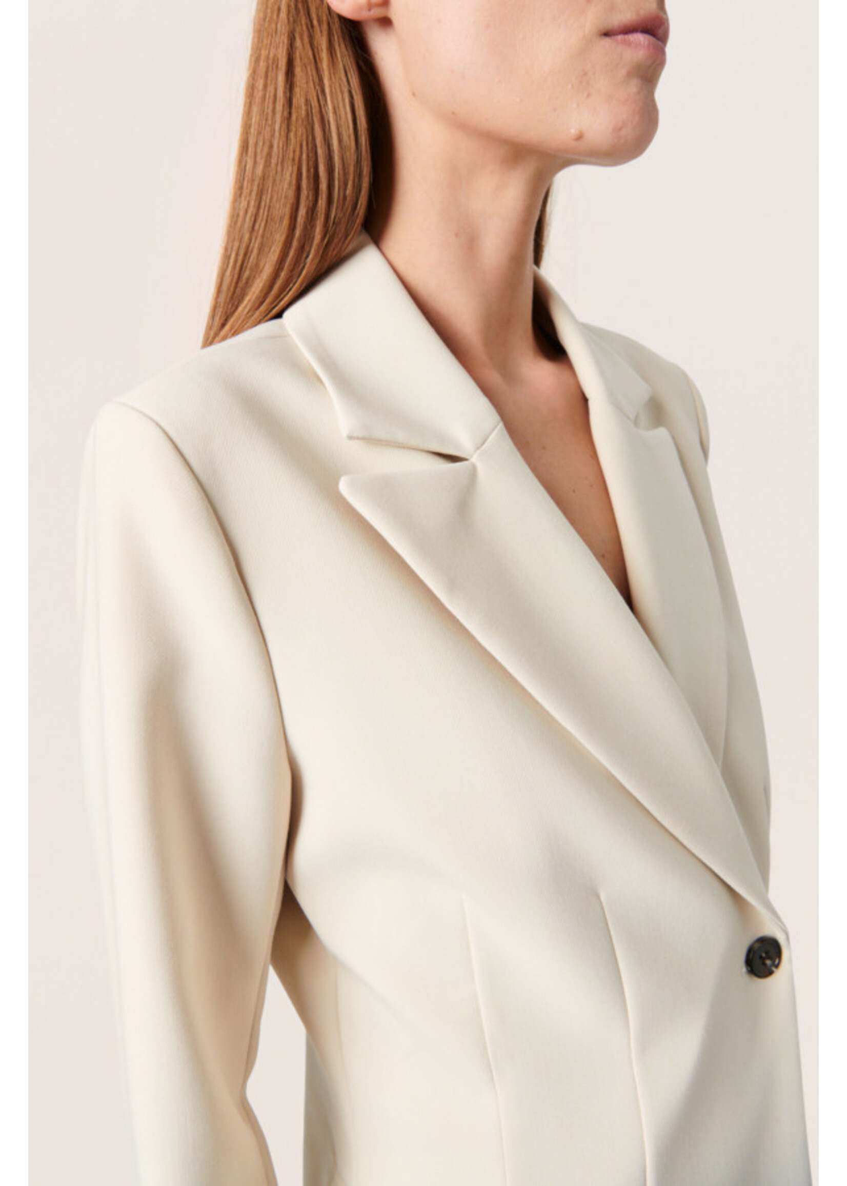 Soaked in Luxury SLCorinne Fitted Blazer