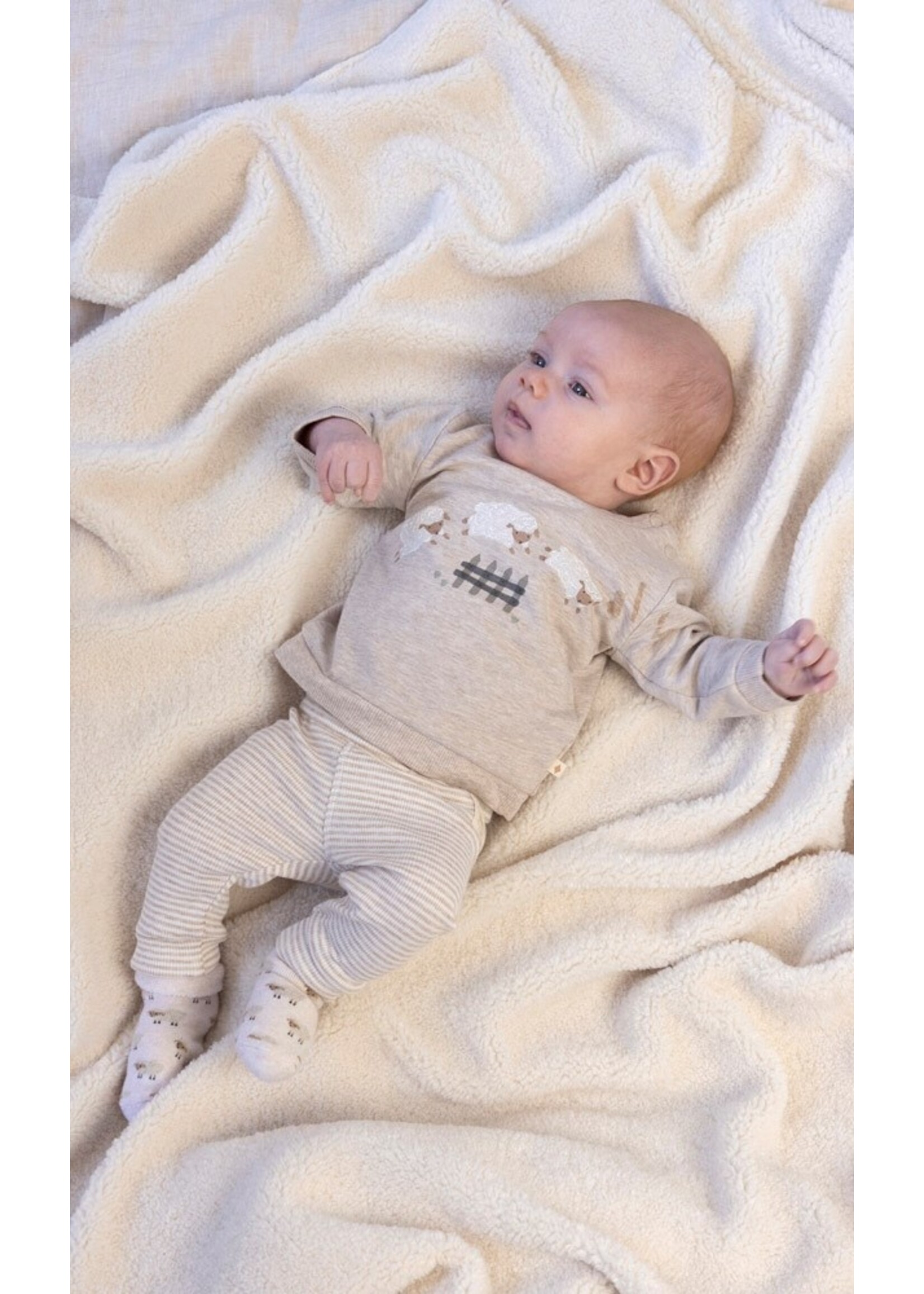 Feetje Broek rib met streep - Sleepy Sheepy