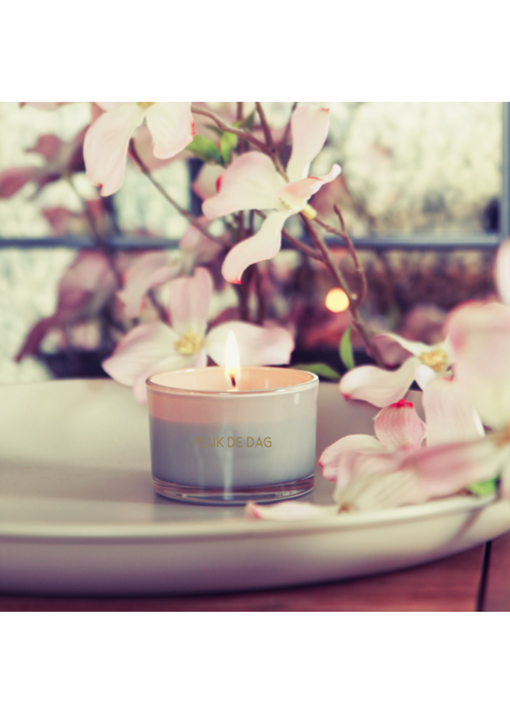 My Flame SOJAKAARS - PLUK DE DAG