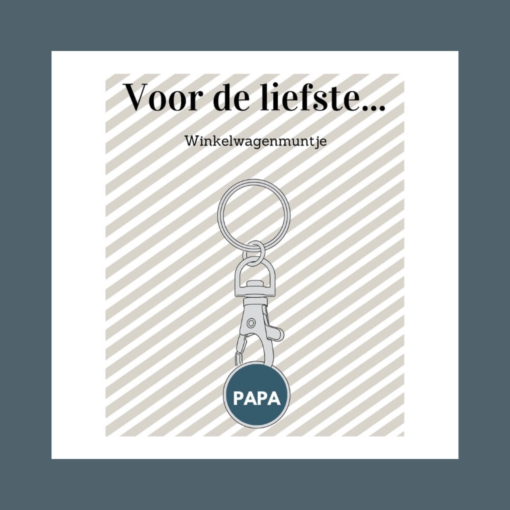 The Big Gifts sleutelhanger met winkelwagenmunt voor papa