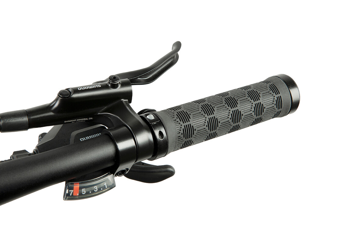 Ostrichoo Zeno - Tweedekans-4