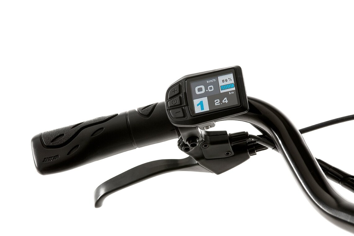 Ostrichoo Lucius - Tweedekans-2