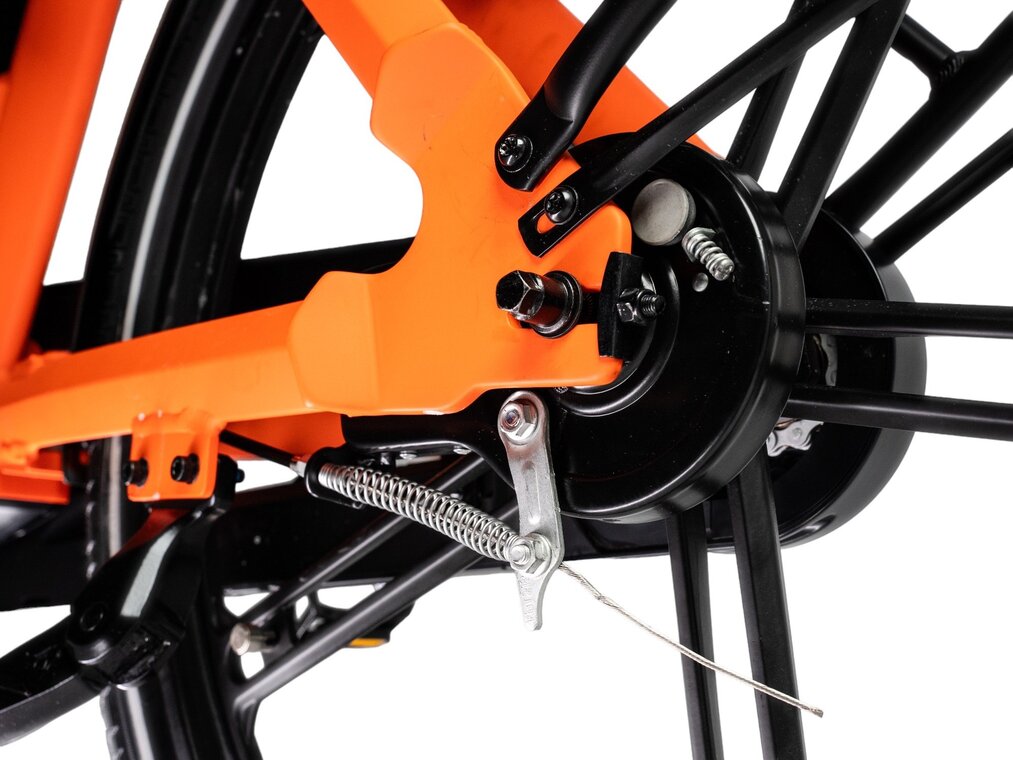 Ostrichoo Caesar - Tweedekans-3