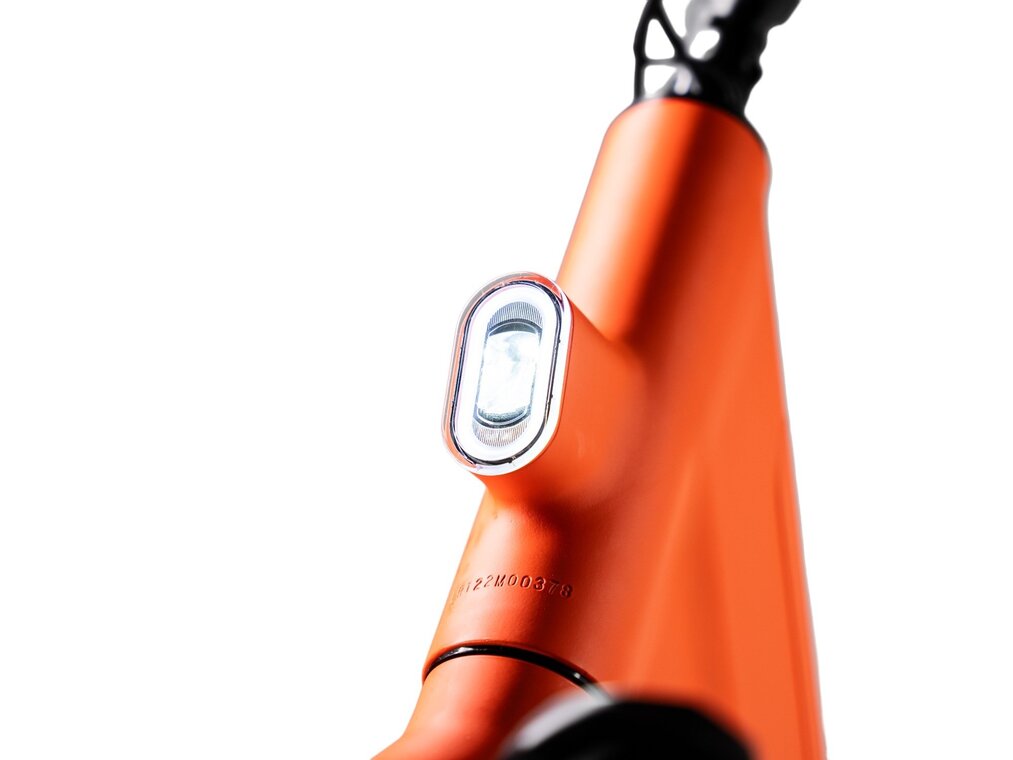 Ostrichoo Caesar - Tweedekans-6