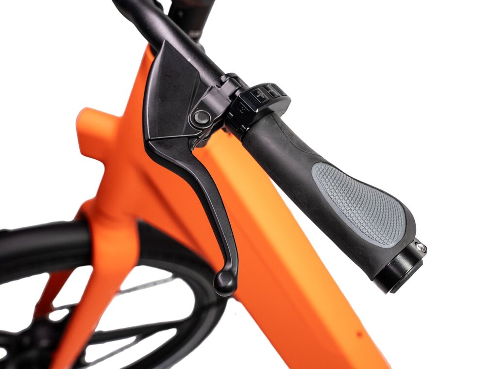 Ostrichoo Caesar - Tweedekans-7