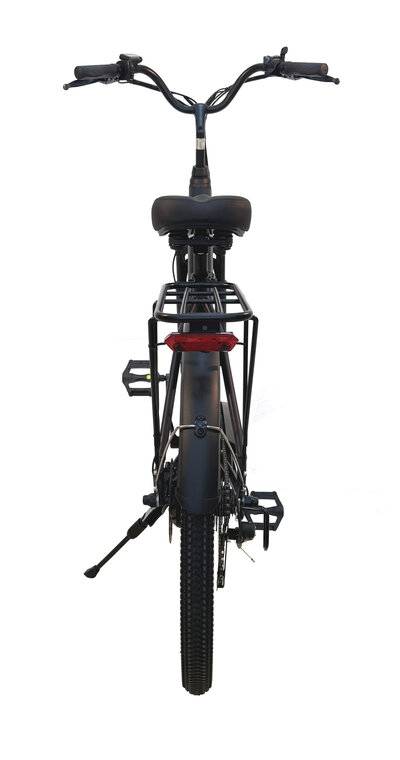 Ostrichoo BC15 Electrische stadsfiets - 250W motor - 36V/10,4AH accu-2