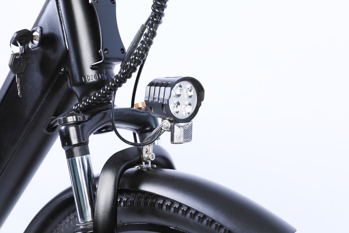 Ostrichoo BC15 Electrische stadsfiets - 250W motor - 36V/10,4AH accu-7