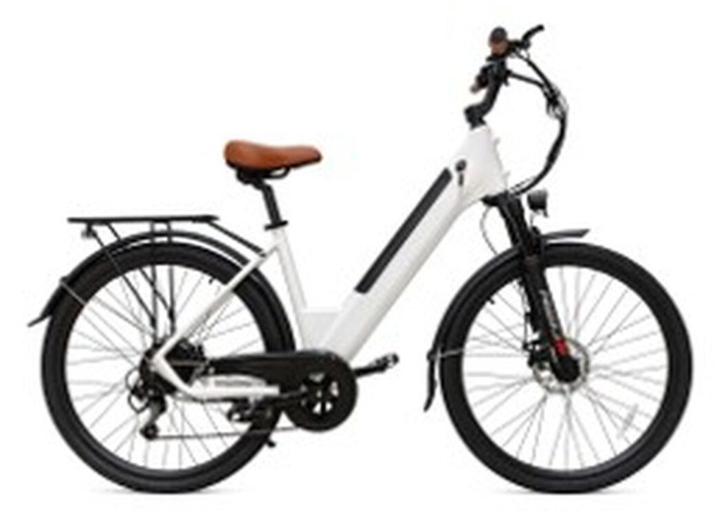 Ostrichoo BC15 Electrische stadsfiets - 250W  motor - 36V/10,4AH accu-2