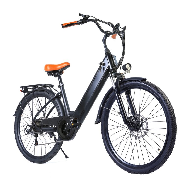 Ostrichoo BC15 Electrische stadsfiets - 250W  motor - 36V/10,4AH accu-7