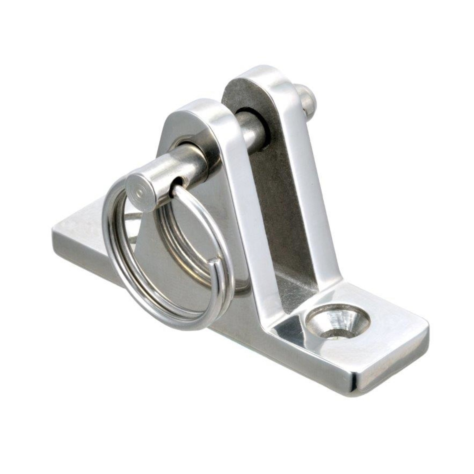 Deck Hinge with pin