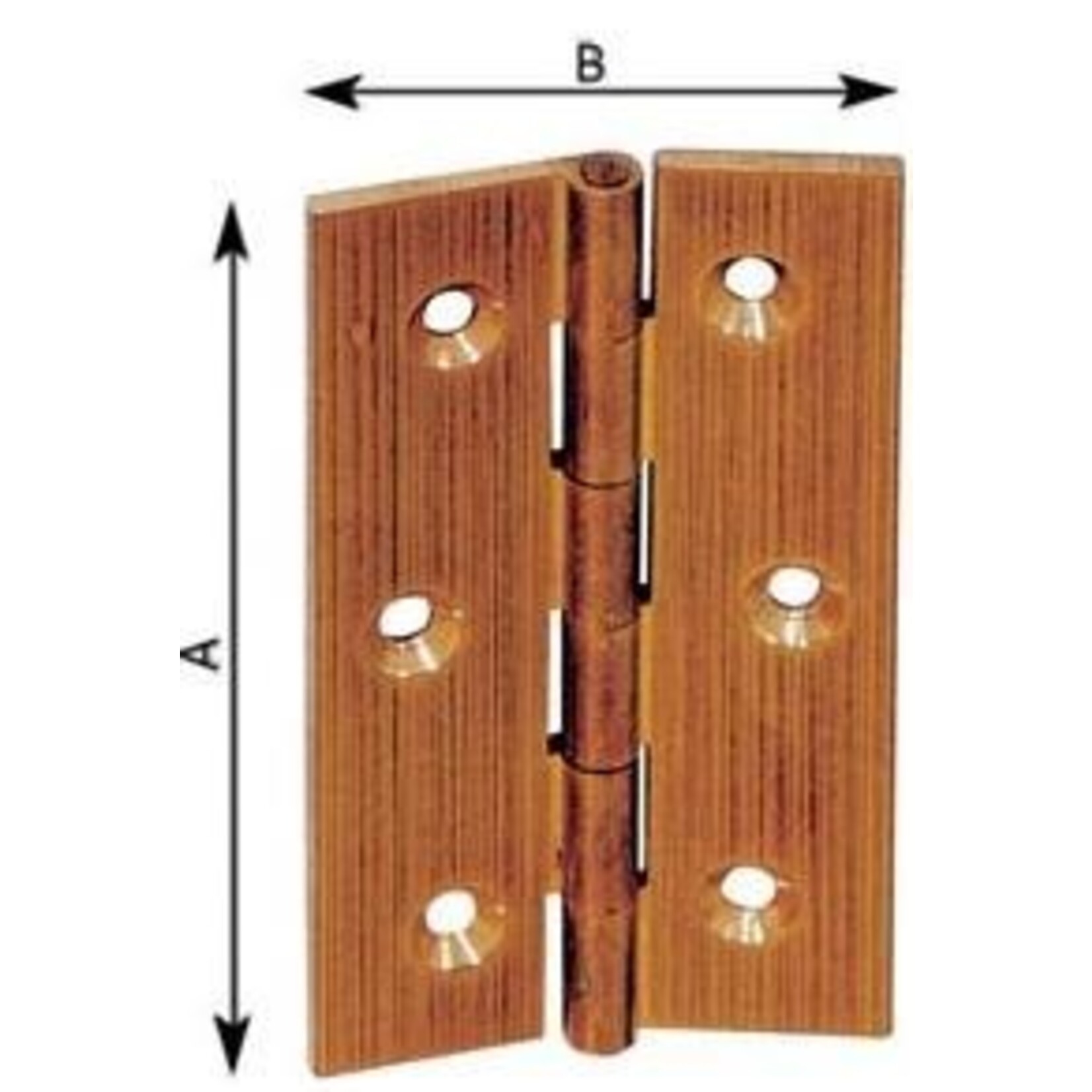 Plastimo Hinge polished brass 50x30mm