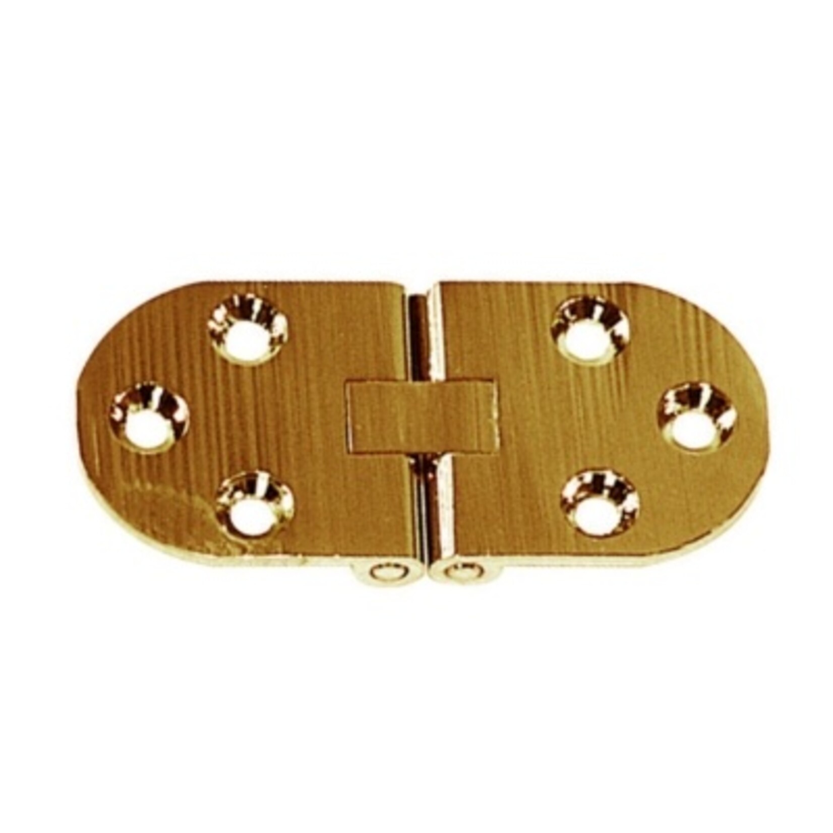 Plastimo Hinge brass 30x67