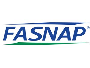 Fasnap