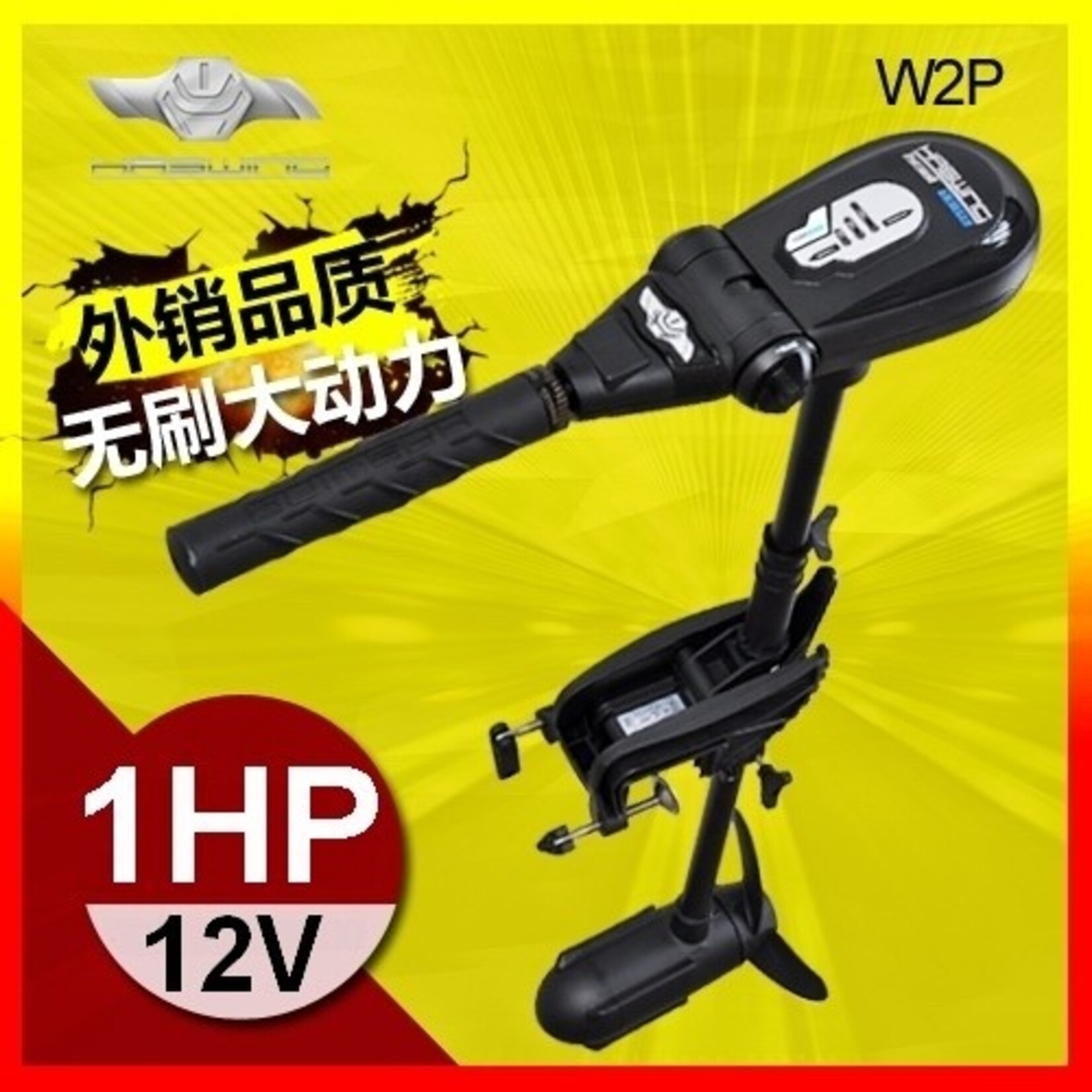 Haswing Protruar 1.0 Electric outboard Motor?12V?