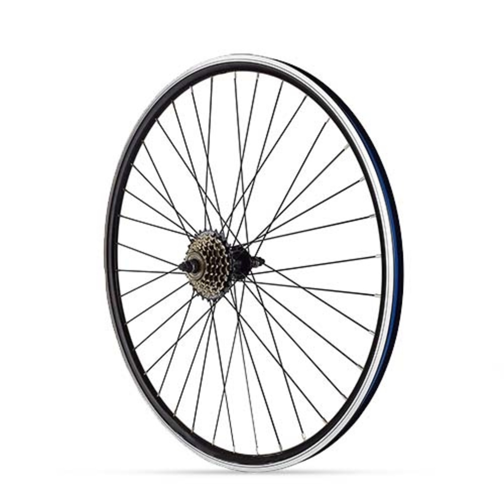Hybrid - Freewheel Cycle