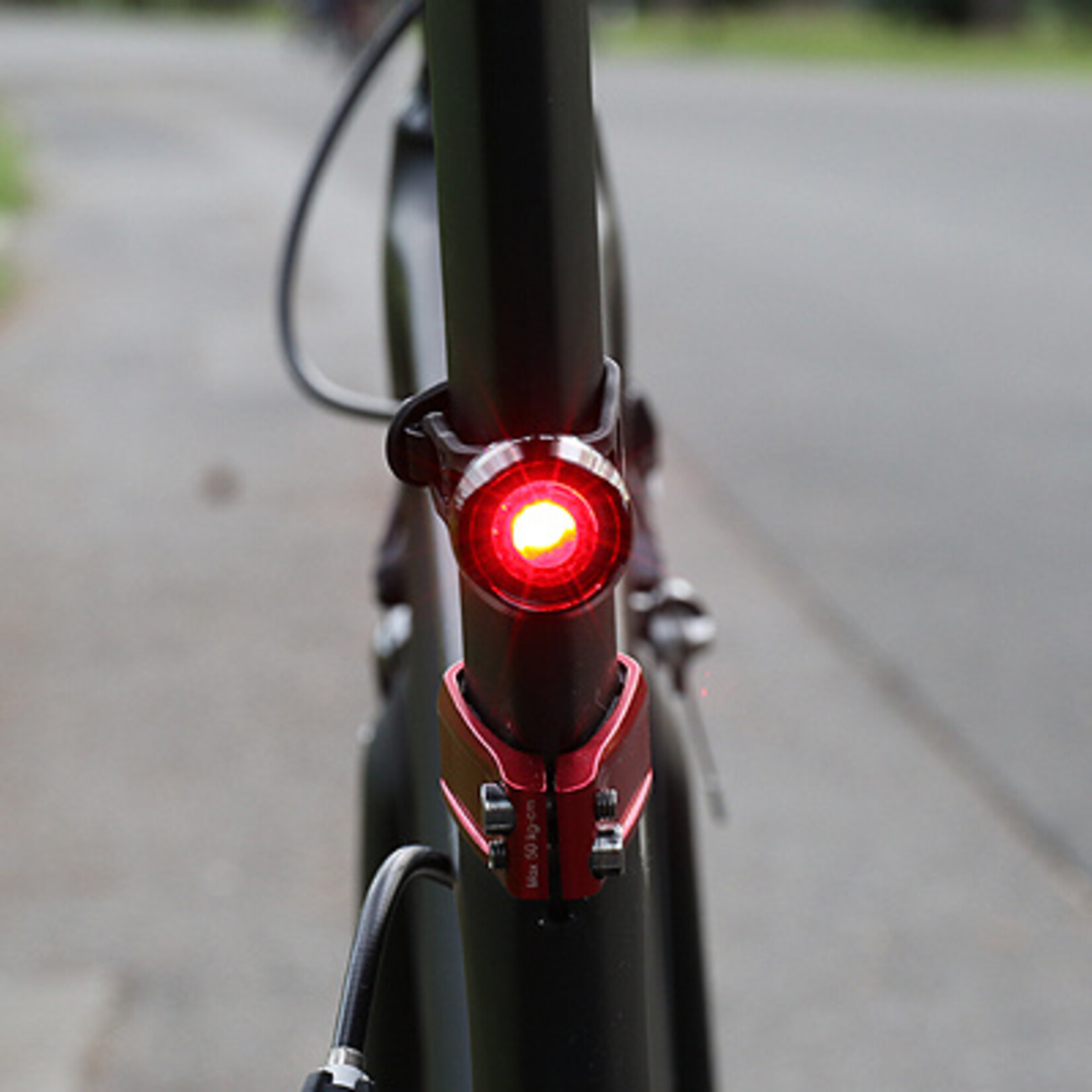 Cateye CATEYE ORB REARLIGHT