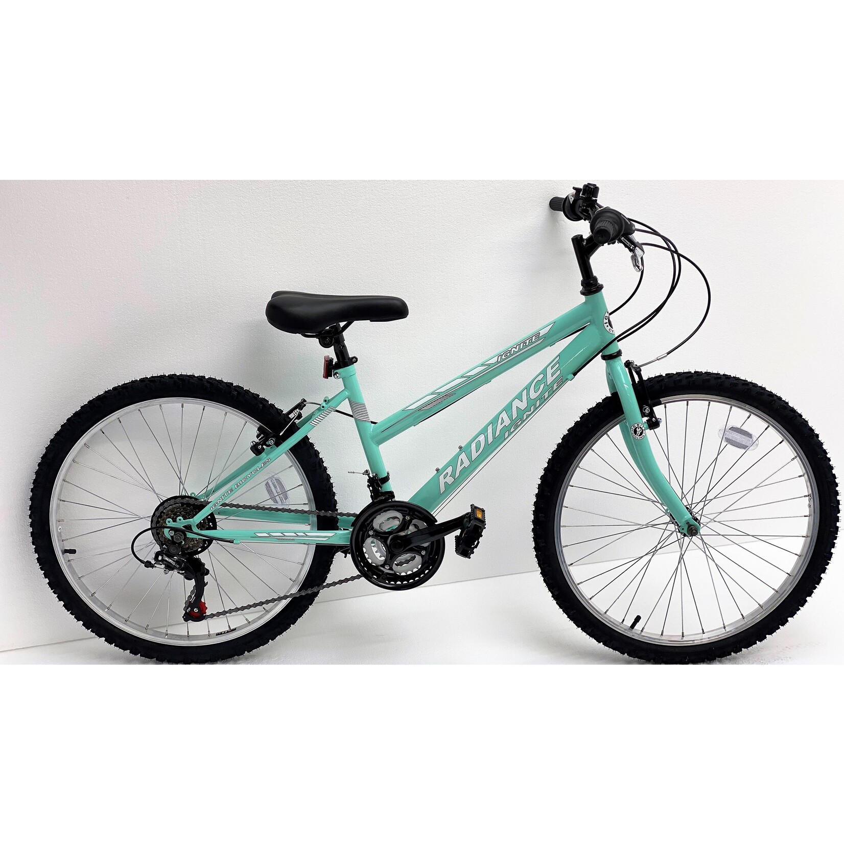 Ignite IGNITE RADIANCE MINT 26" WHEEL