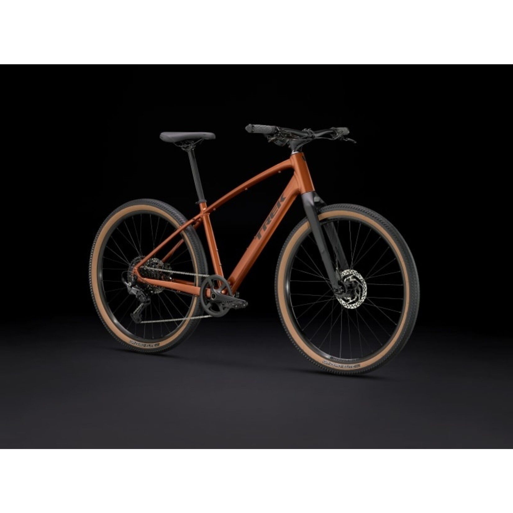 TREK DUAL SPORT 3 GEN 5 PENNY FLAKE LK Bikes