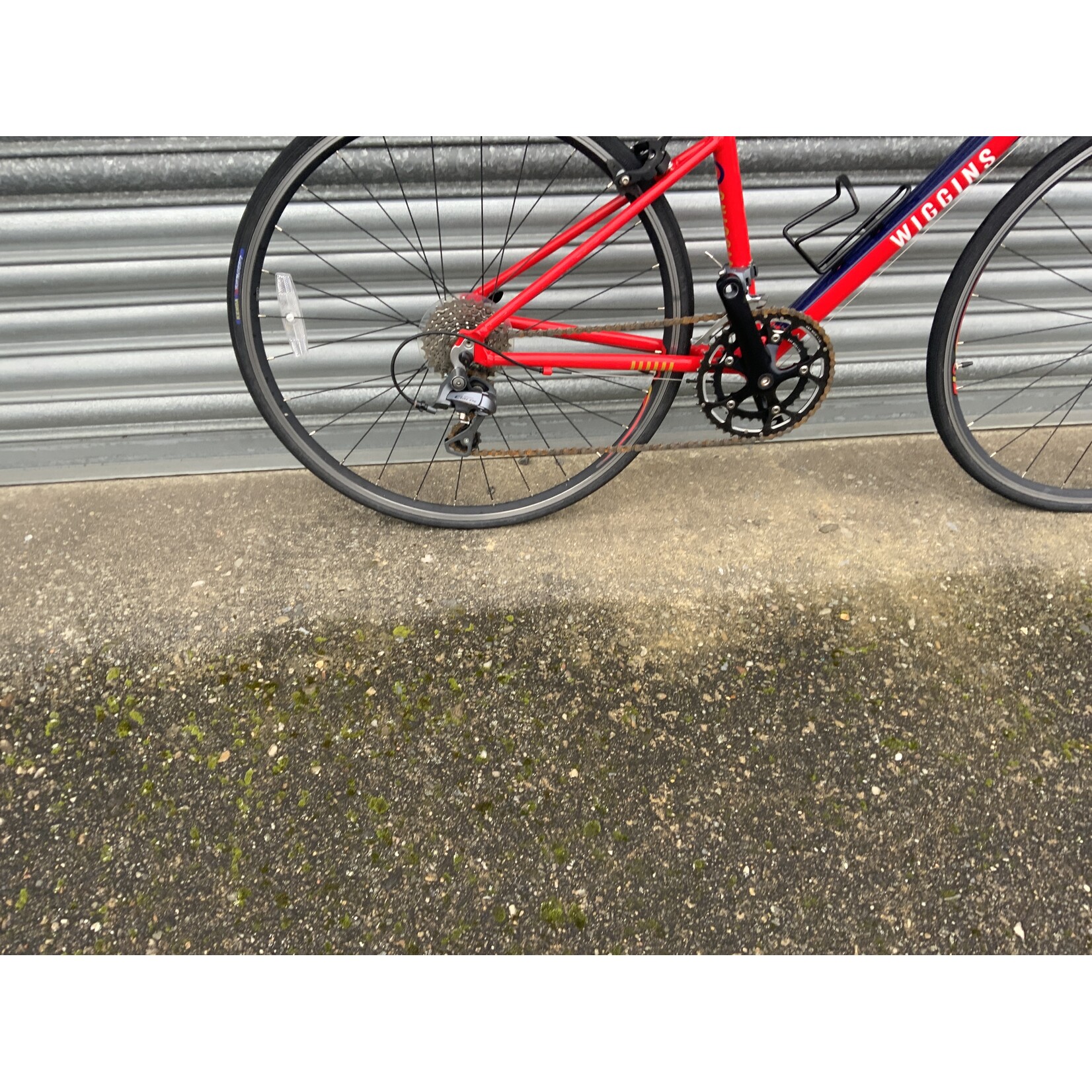 WIGGINS WIGGINS JUNIOR RACER
