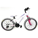 MONTANA MONTANA FITNESS 20" WHITE-PINK-BLUE