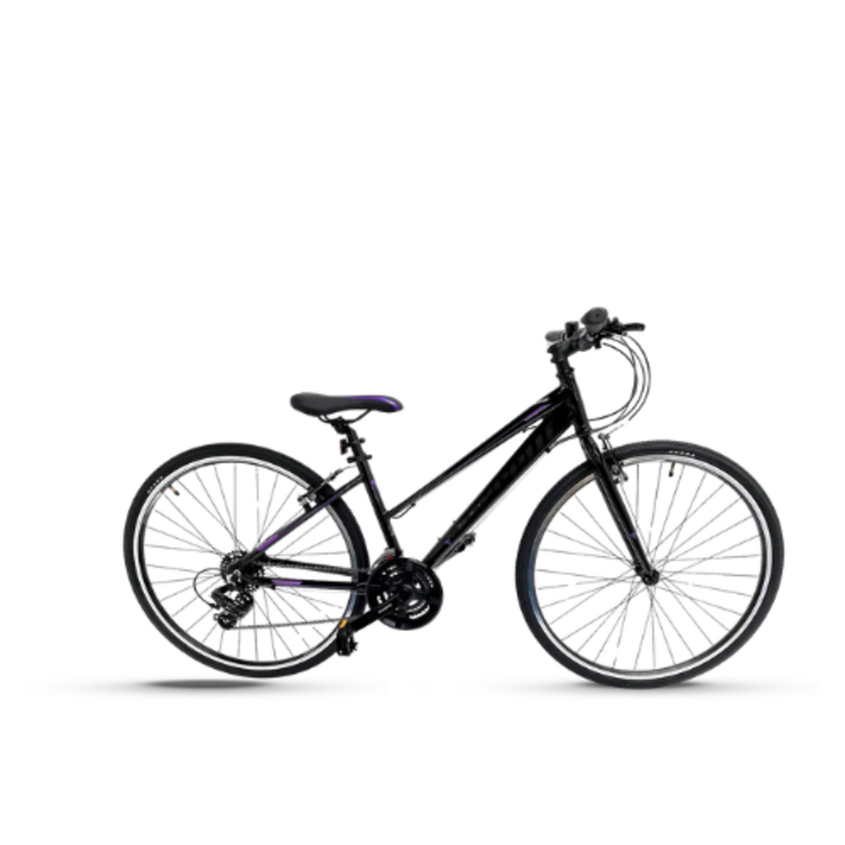 Vercelli VERCELLI VALENCIA LADIES TREKKING