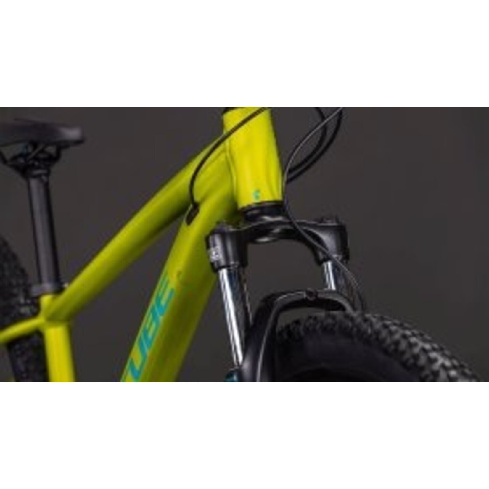 Cube CUBE ACID 260 DISC LIZARD/BLUE
