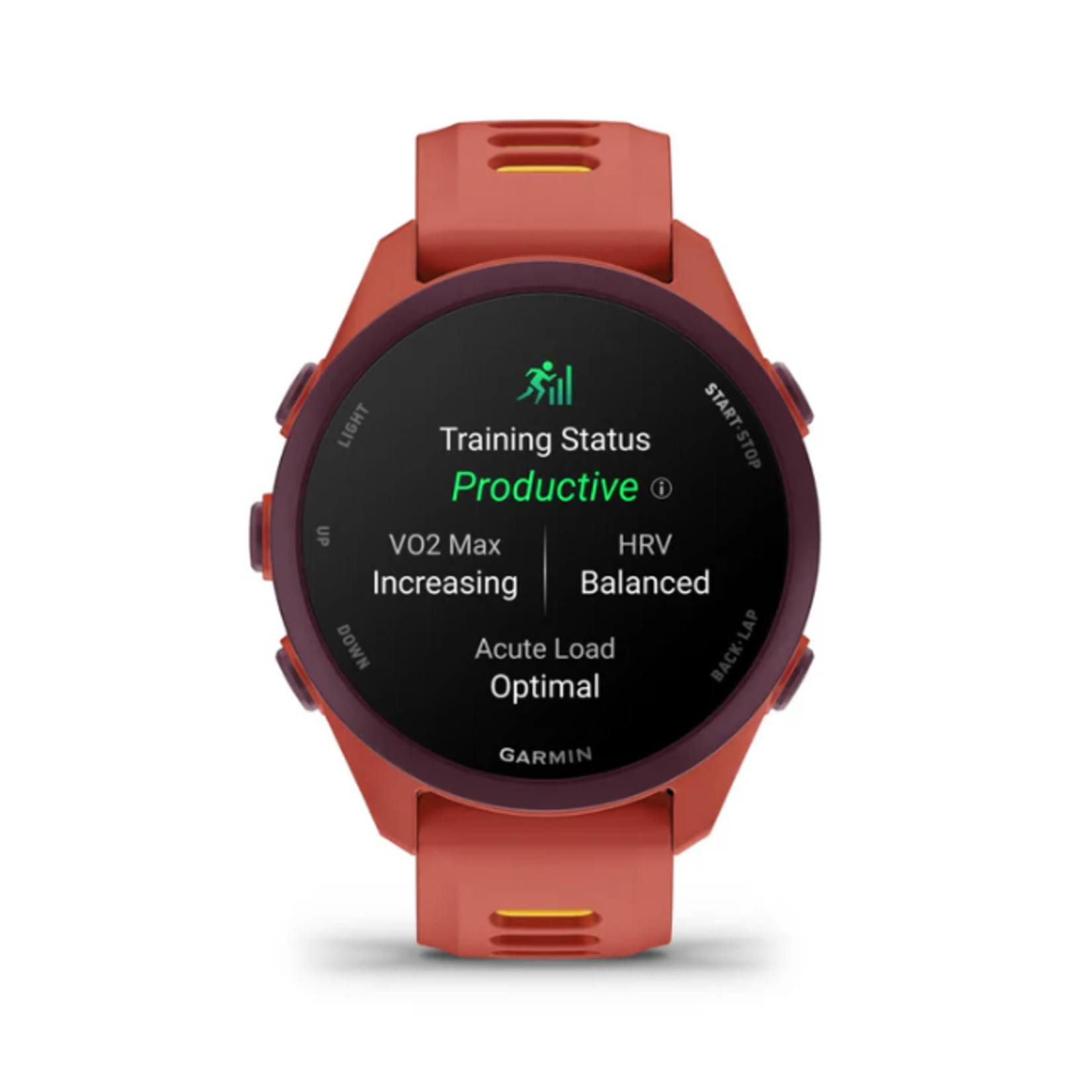 Garmin GARMIN FORERUNNER 170 MUSIC RED PINK