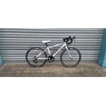 JUPITER DOLOMITES 24"