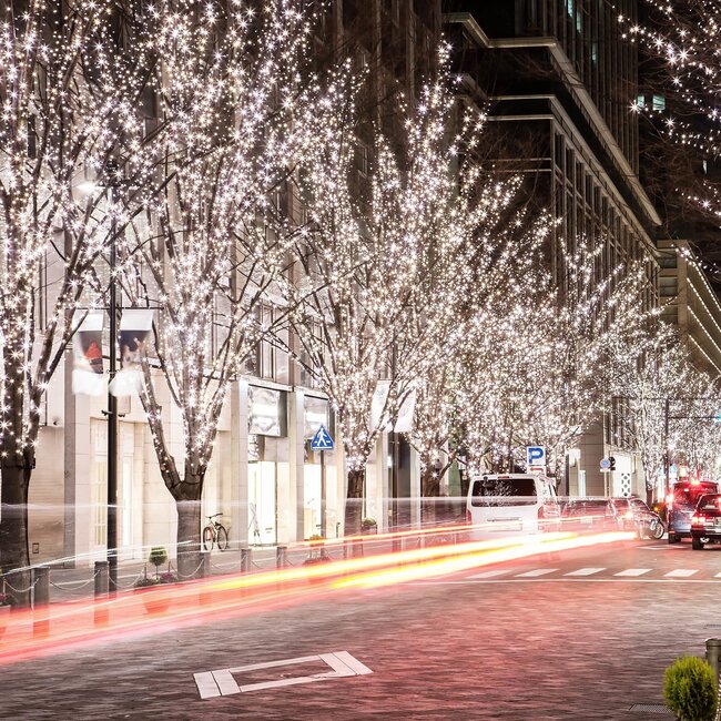 Jatkettavat jouluvalot | kylmän valkoinen | 30 metriä 300 valoa | Kumijohto