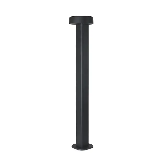 Pollarivalaisin Ferris kiinteällä LED-valolla - 80 cm antrasiitti