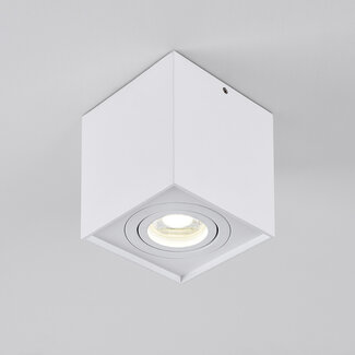 Design spot Carl, kantelbaar - wit