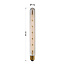 E27-putkilamppu LED himmennettävä, meripihka 6 wattia 30 cm (2200 K)