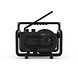 PerfectPro Bouwradio PerfectPro DabBox PerfectPro Bouwradio PerfectPro DabBox