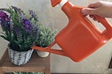 Spray Watering can