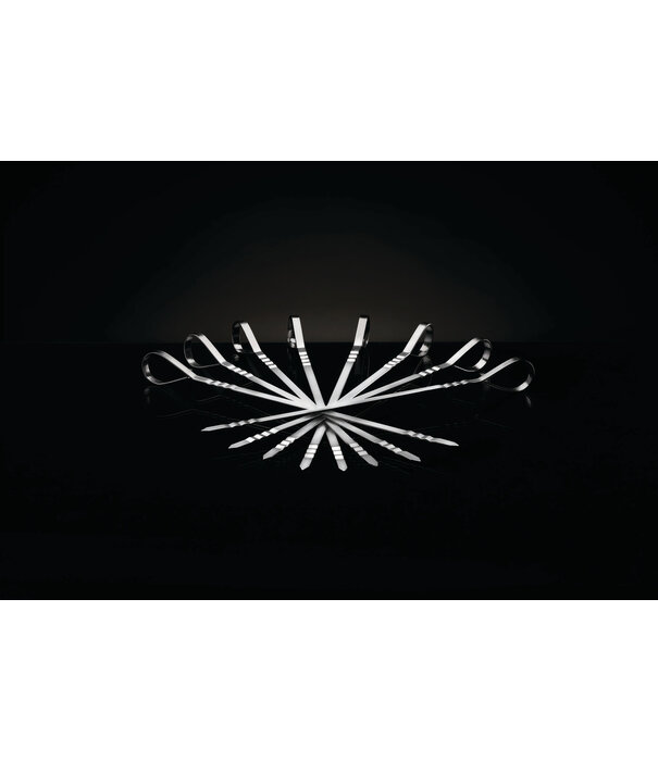 Napoleon Napoleon - Multi RVS shaslick set (8 stuks)