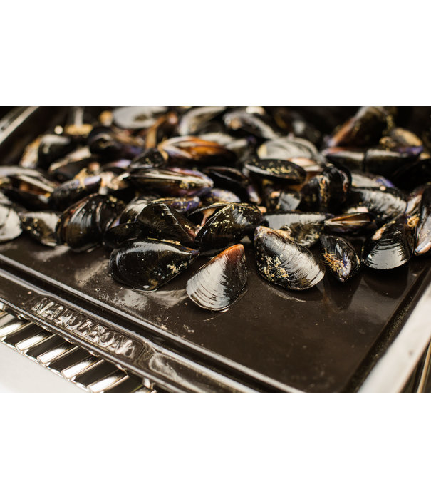 Napoleon ACTIE: Napoleon - Plancha porselein geëmailleerd