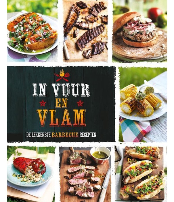 In Vuur en Vlam - Boek