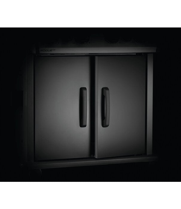 Napoleon ACTIE: Napoleon - Rogue SE 525, met gietijzeren roosters, zwart